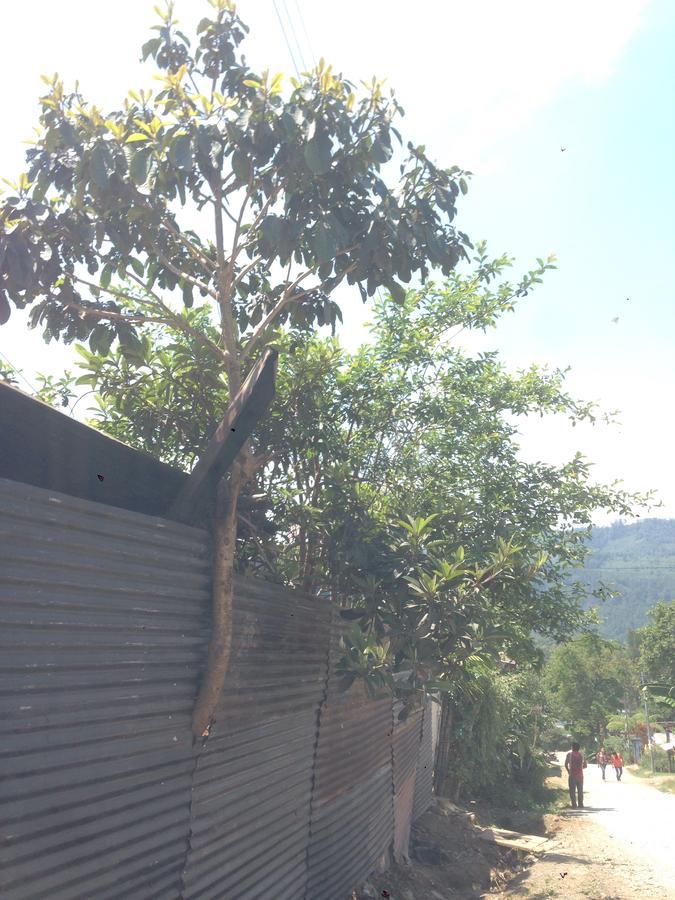 Hotel Cora Izone Cobán Exterior foto